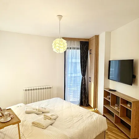 Apartment Palace 7 *