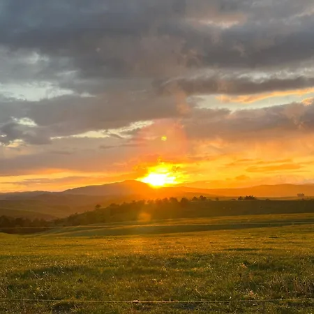 Apartamento Palace 7